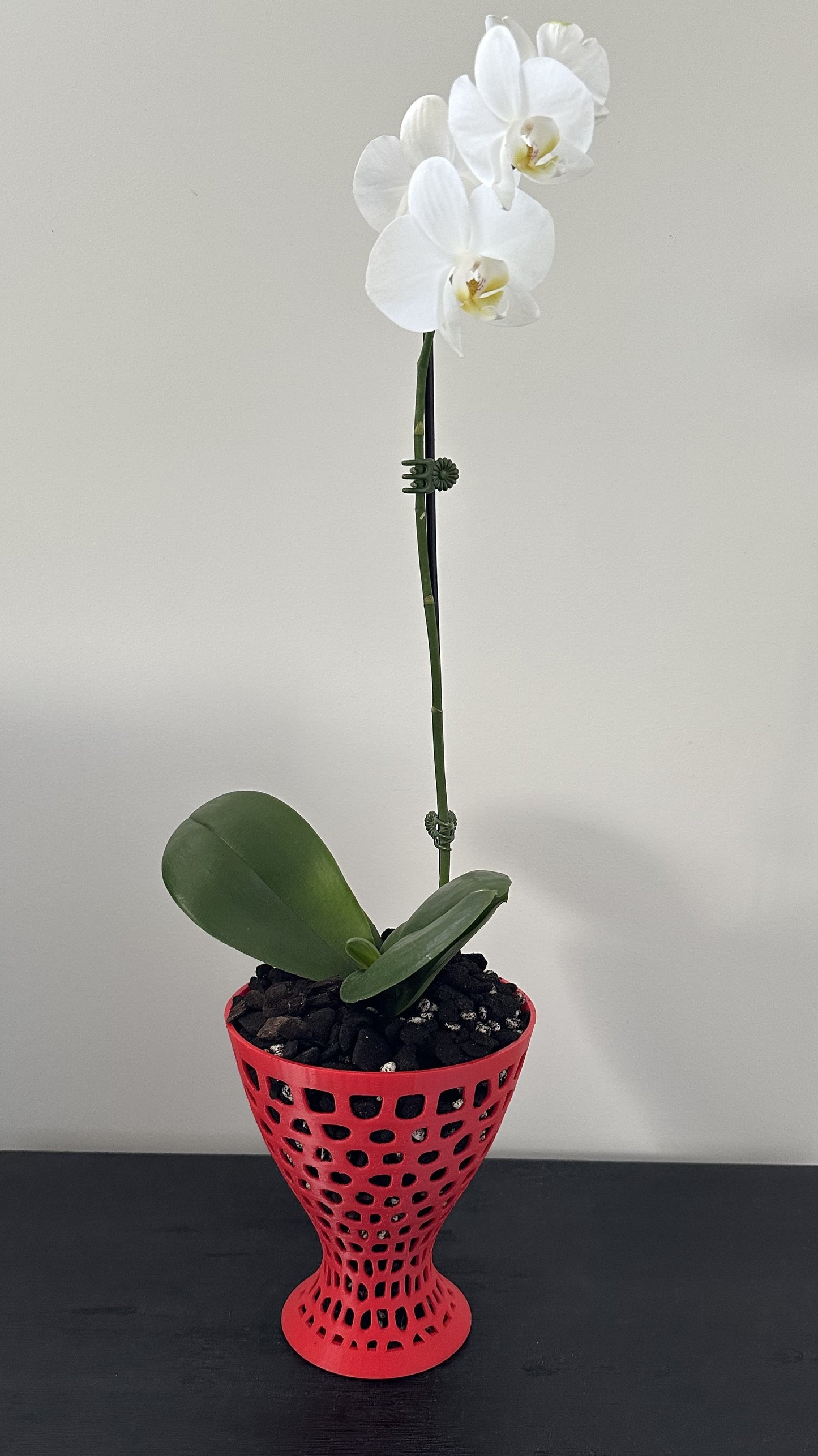 Orchid Growing and Display Pot - Large Round Tapered Foot 180 x 168mm