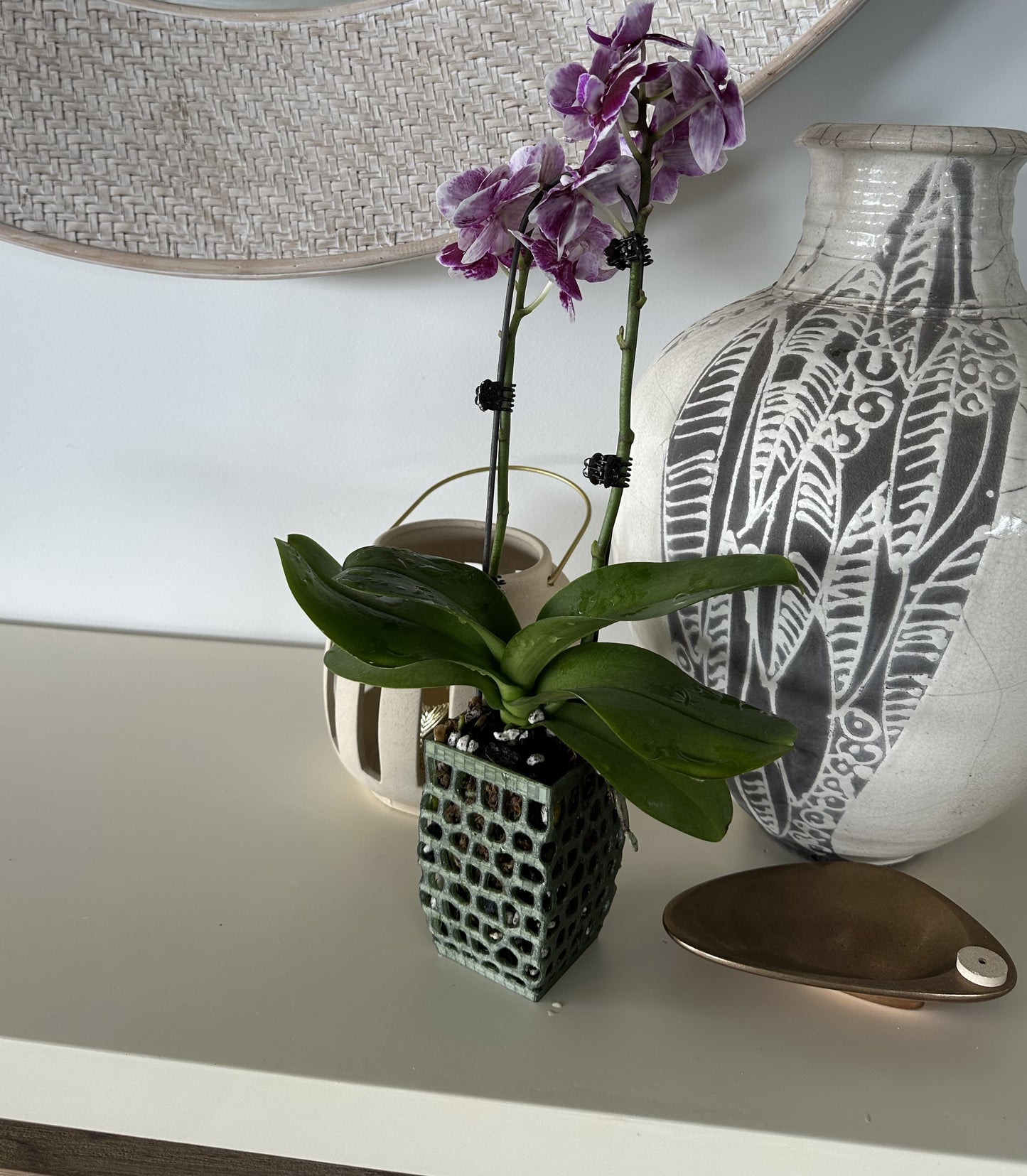 Orchid Growing and Display Pot Small 4-sided 100 x 60mm