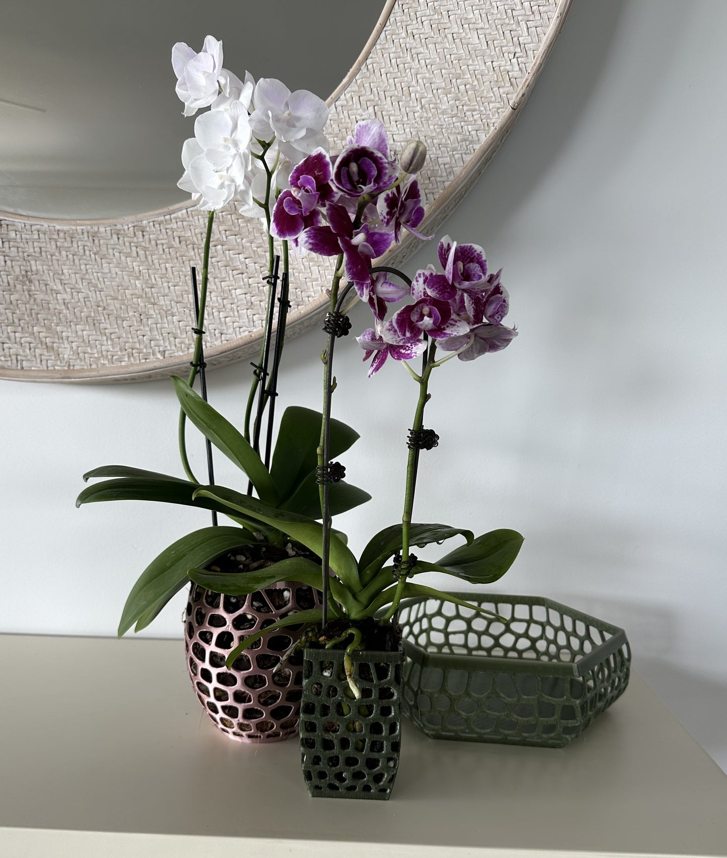 Orchid Growing and Display Pot Small 4-sided 100 x 60mm