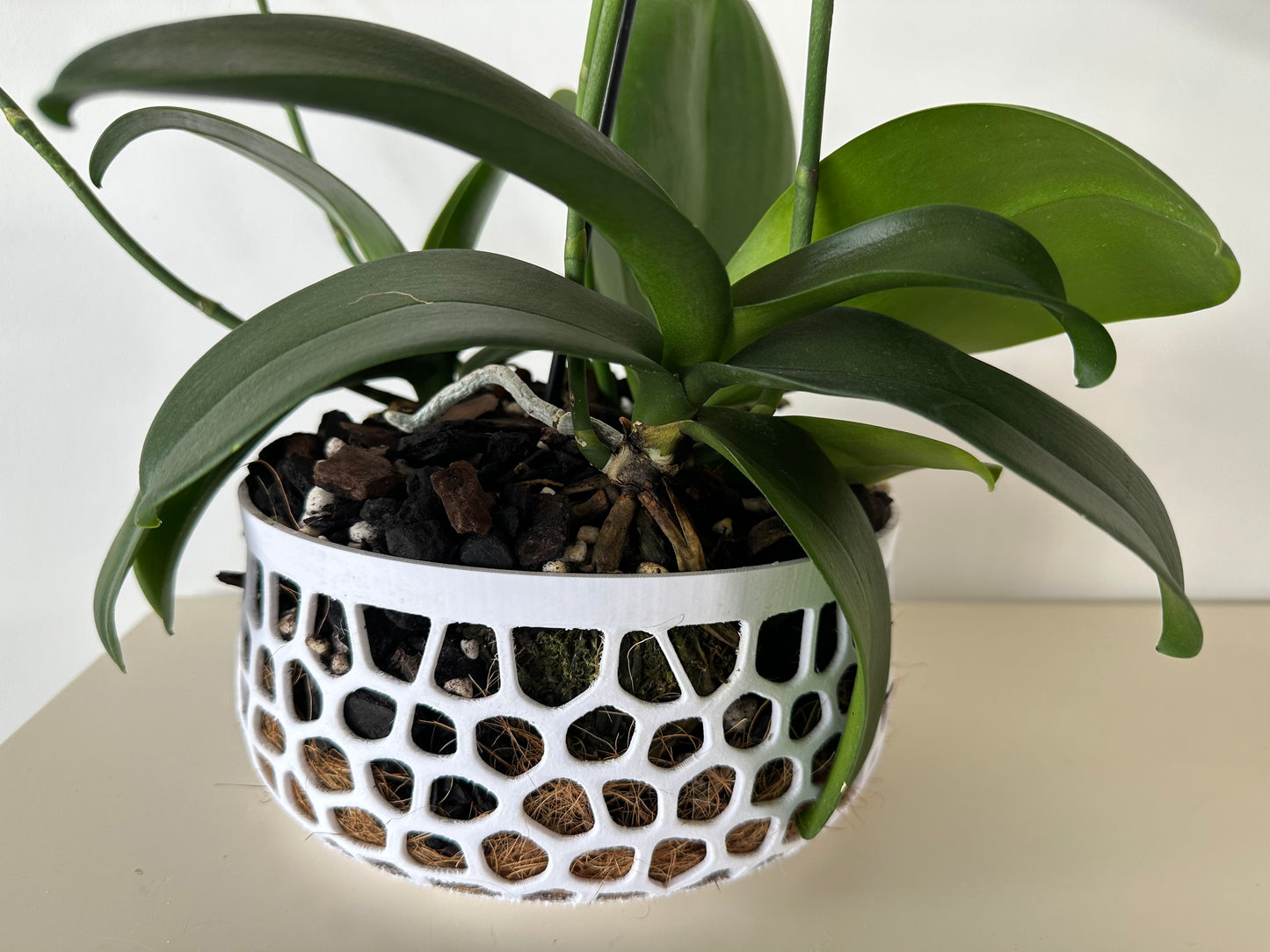 Orchid Growing and Display Pot - Large 91 x 204mm