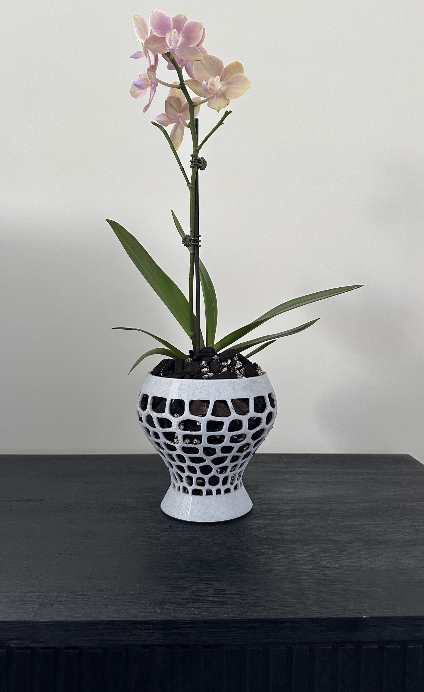 Orchid Growing & Display Pot - Medium- Short Stout