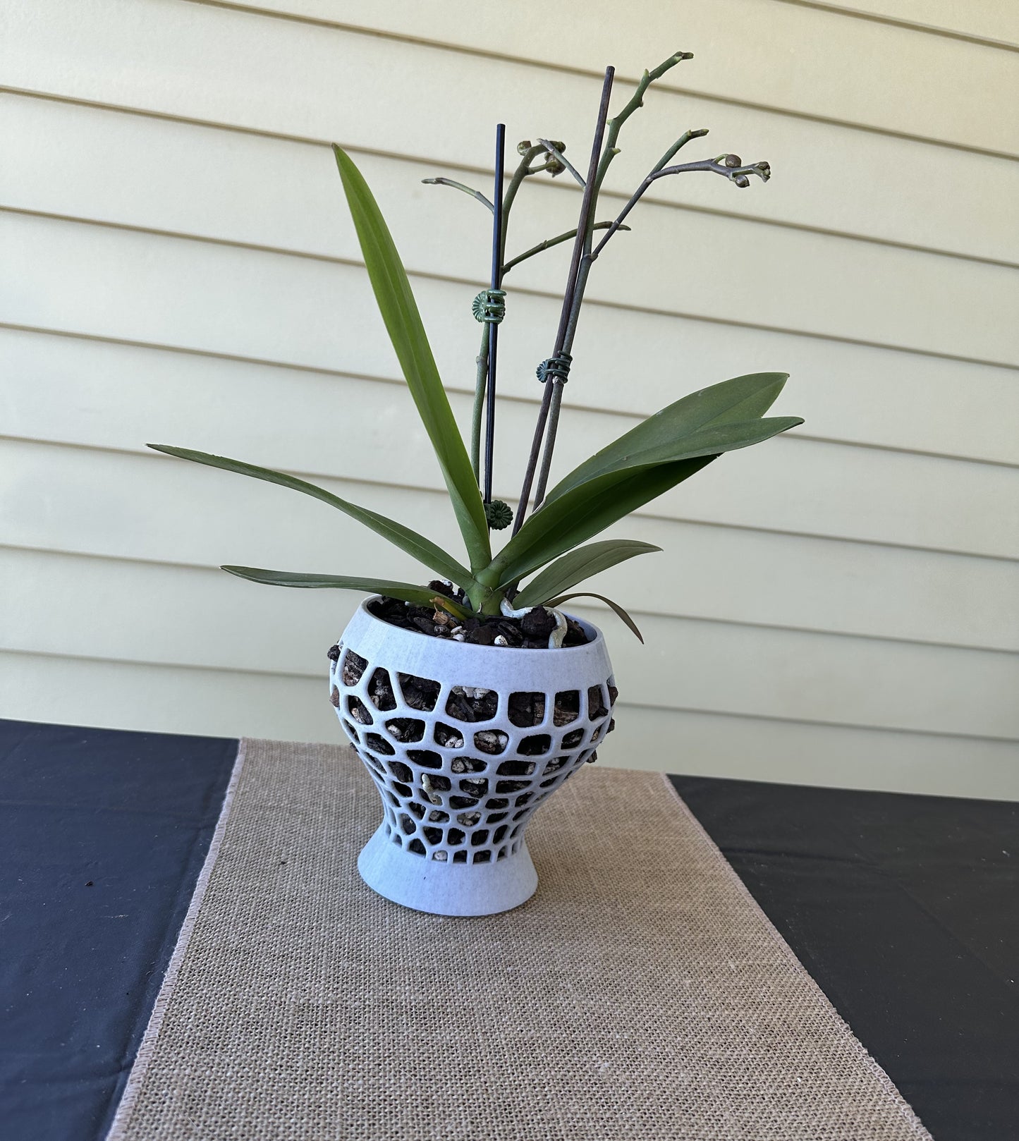 Orchid Growing & Display Pot - Medium- Short Stout