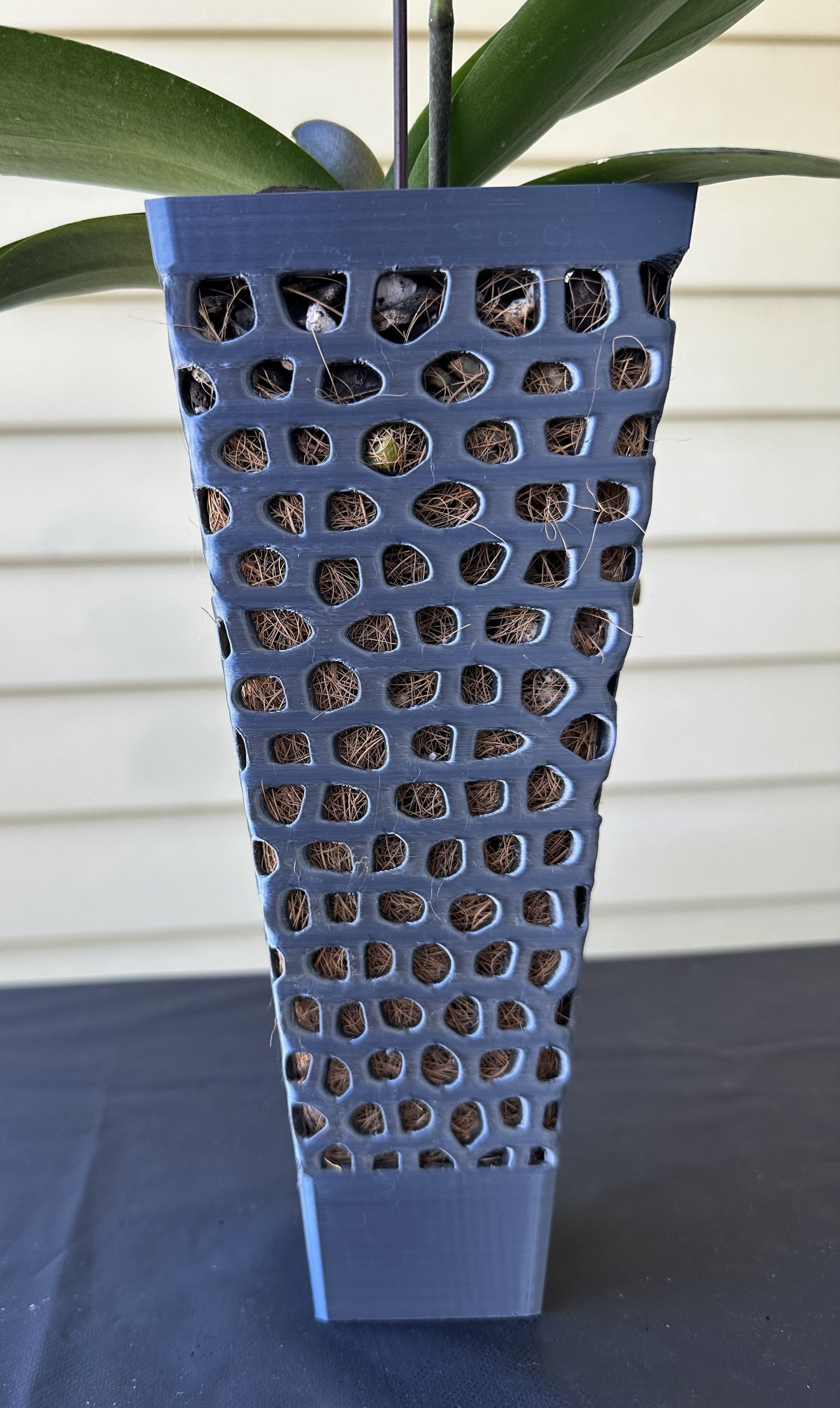 Orchid Growing & Display Pot - Tall 4-sided H 24cm x Top 10cm x Base 5cm