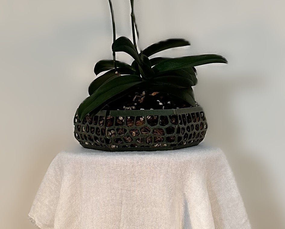 Orchid Growing & Display Pot Extra Large 240 x 80mm