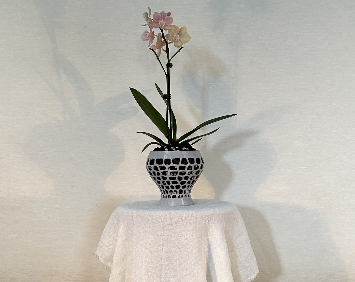 Orchid Growing & Display Pot - Medium- Short Stout