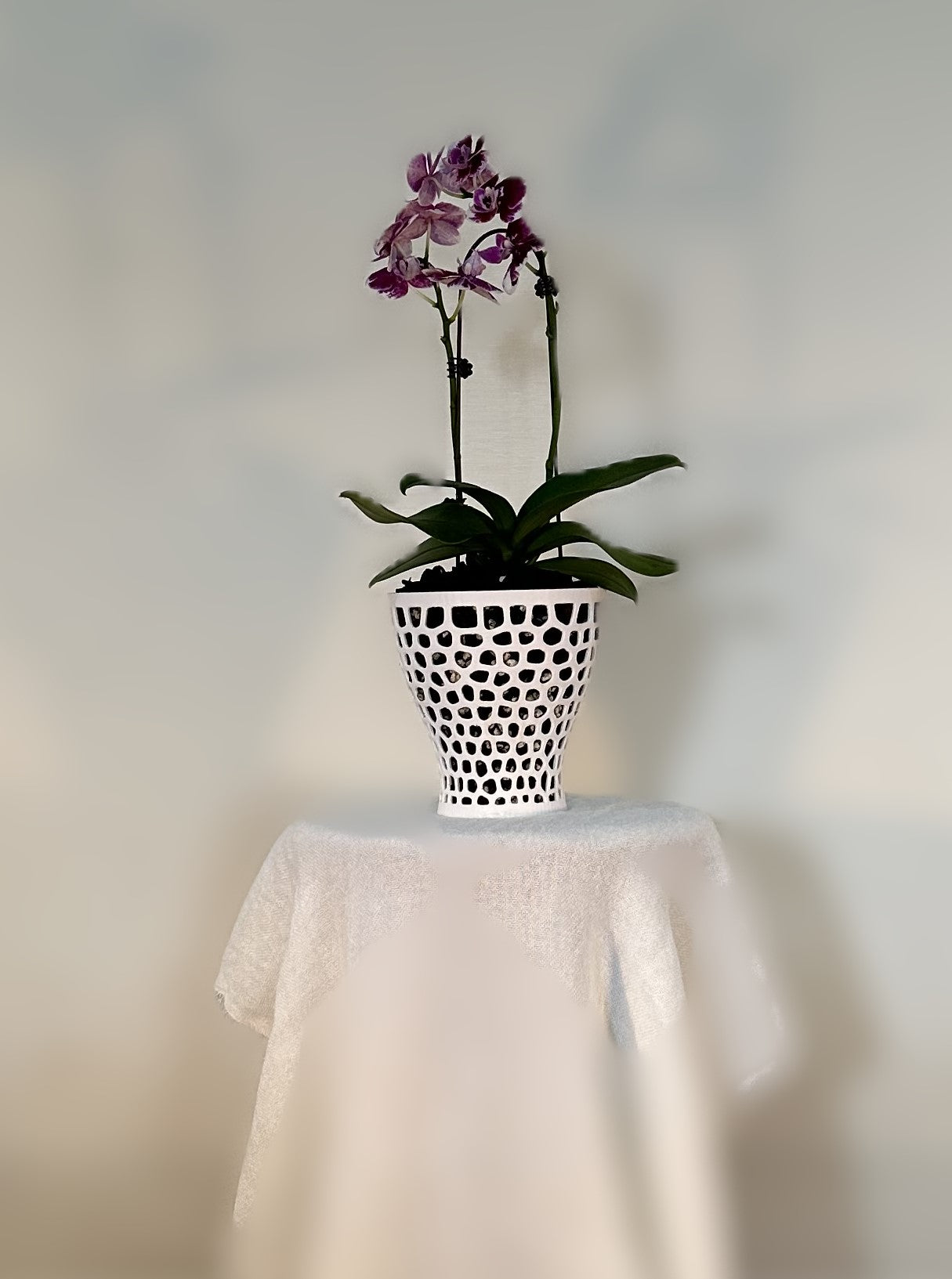 Orchid Growing and Display Pot - Large Tall 160h x 160w x 95w foot.