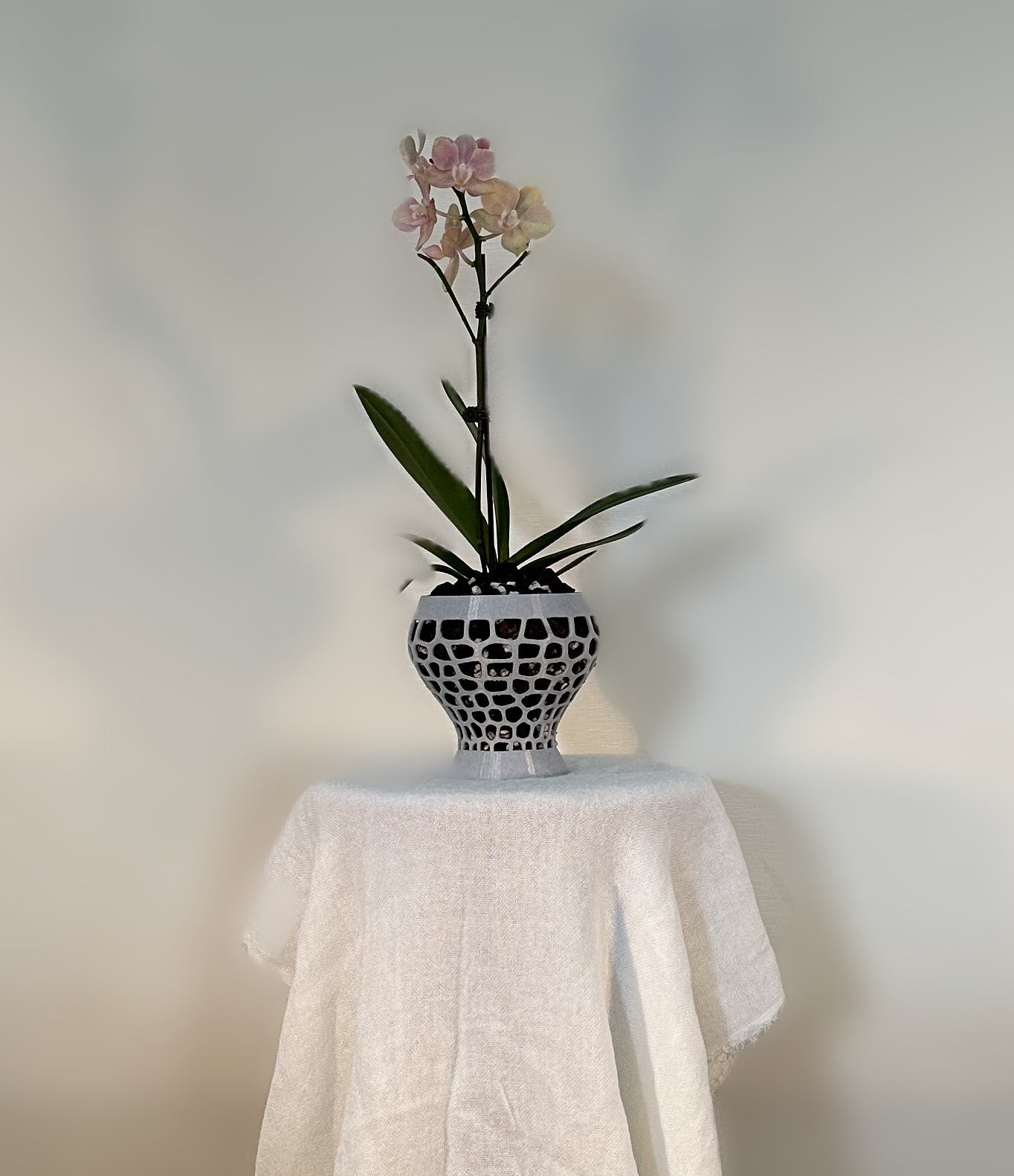 Orchid Growing & Display Pot - Medium- Short Stout