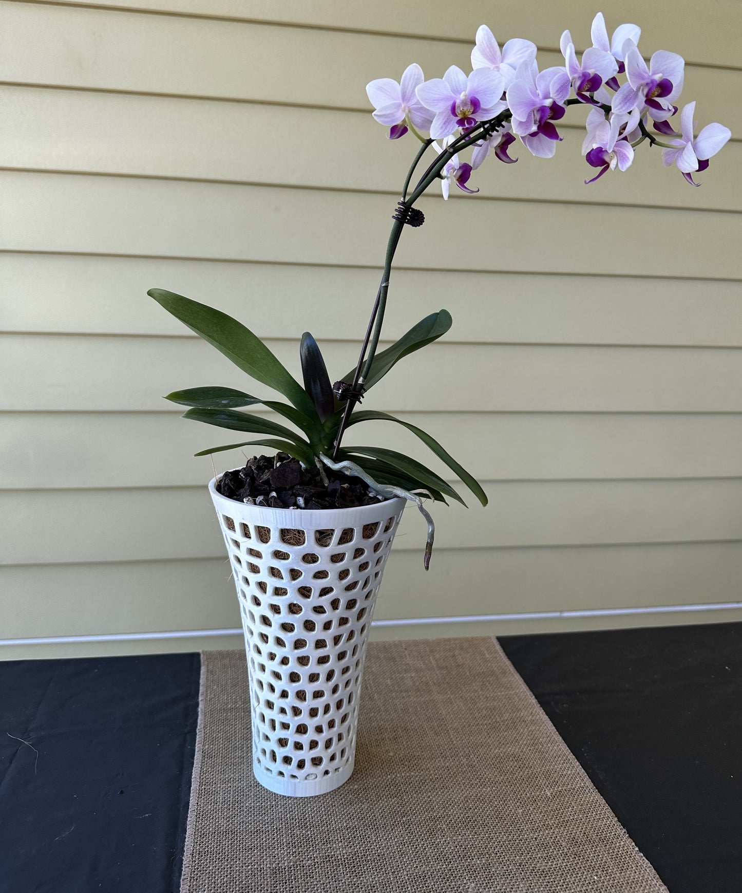Orchid Growing and Display Pot - Tall H 22cm x W 14cm x Base 7.5cm
