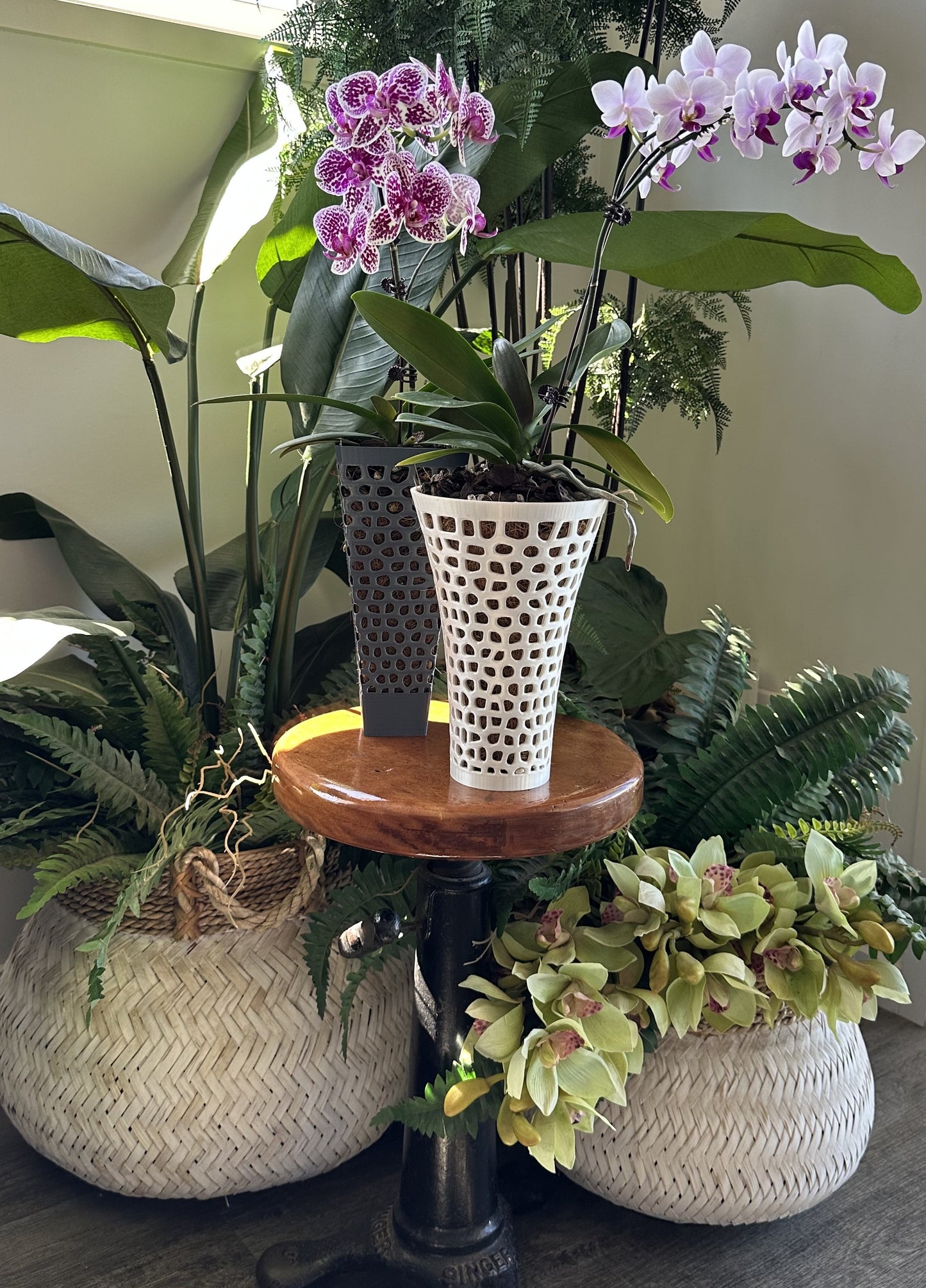 Orchid Growing and Display Pot - Tall H 22cm x W 14cm x Base 7.5cm